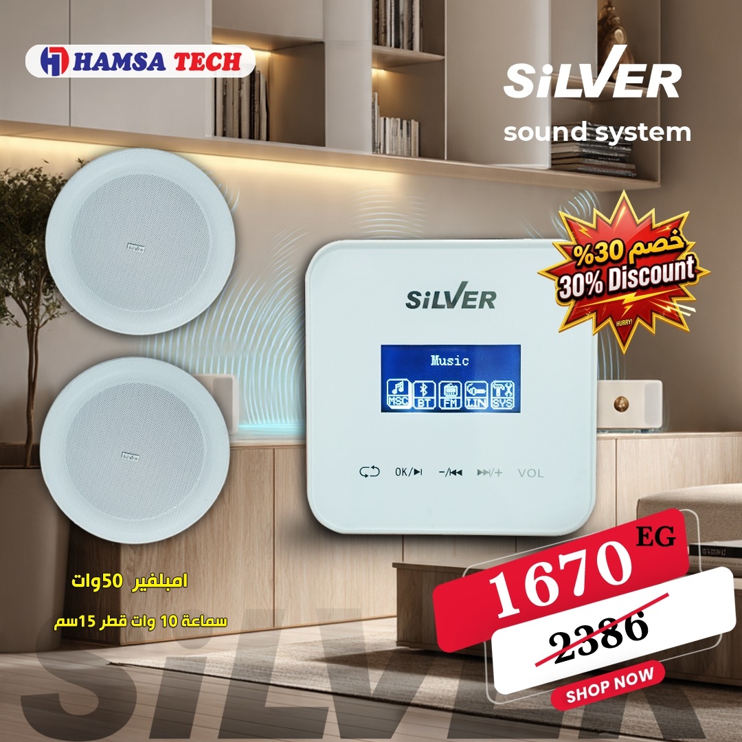 Silver offer amplifier Z60H-H2 and 2 speaker of Z328H
