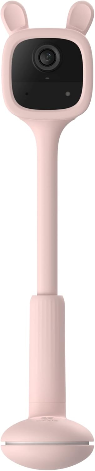 BM1