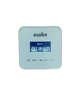 Z60H-H2 100 Watt Amplifier Silver