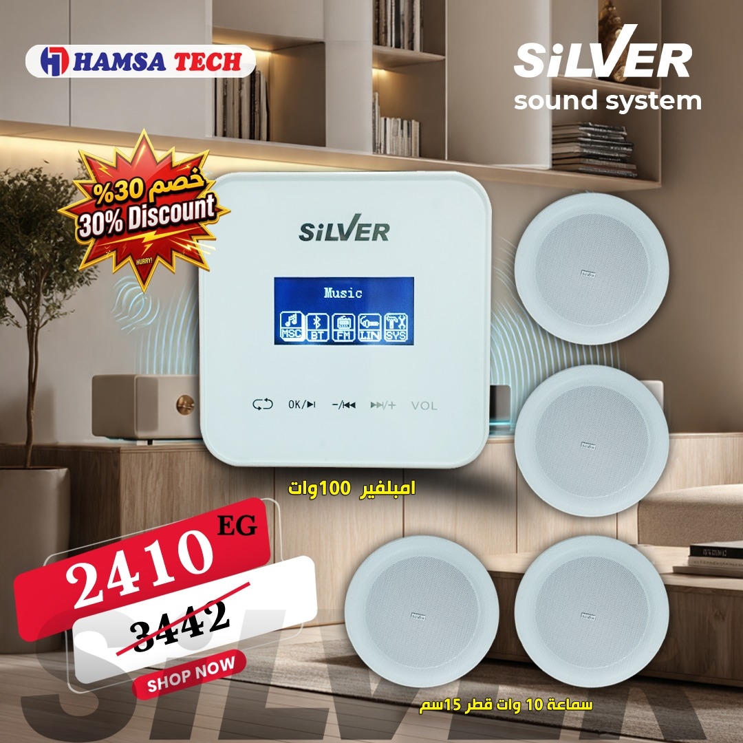 Silver offer amplifier Z60H-H4 and 4 speaker of Z328H